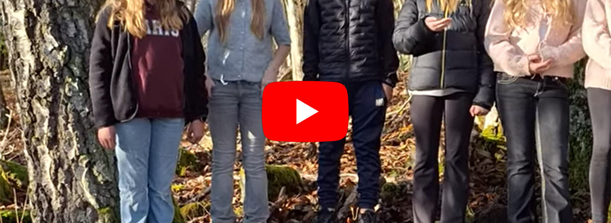 Vinnare av fototävlingen 2025